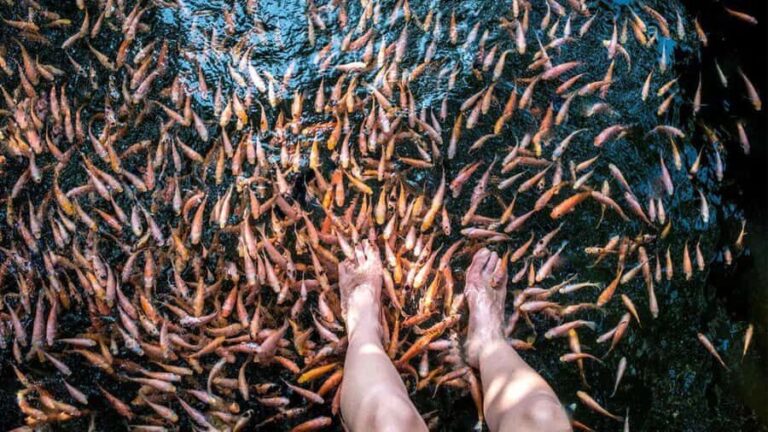 Sri Lanka: 9-Day Private Tour  Pearl of the Indian Ocean - The Benefits of Private Transport and Guided Service