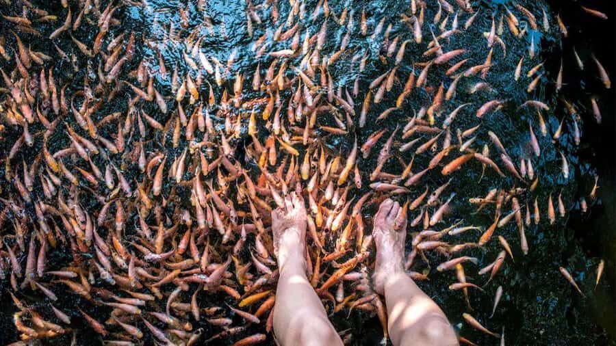 Sri Lanka: 9-Day Private Tour  Pearl of the Indian Ocean - The Benefits of Private Transport and Guided Service