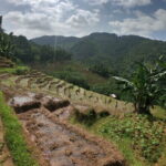 Sri Lanka All Inclusive Day Tour: Hiking & Activities Farmers Village Kandy - Final Thoughts: Is This Tour Right for You?