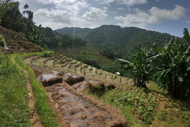 Sri Lanka All Inclusive Day Tour: Hiking & Activities Farmers Village Kandy - Final Thoughts: Is This Tour Right for You?