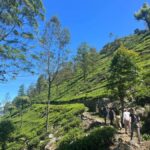 Sri Lanka: Ceylon Royal Tea Trails Trekking Tour - Practical Details and Tips