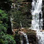 Sri Lanka Experience for 12 days-Private Basis - In-Depth Look at the Itinerary