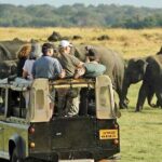 Sri Lanka in 7 Days  Partial Advance, Pay Rest During Tour - Final Thoughts: Is This Tour Right for You?