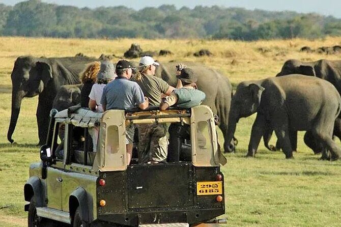 Sri Lanka in 7 Days  Partial Advance, Pay Rest During Tour - Final Thoughts: Is This Tour Right for You?