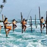 Sri Lanka Private Tour with Driver  Flexible Dates & Itinerary - Exploring Sri Lanka in 7 Days – What to Expect