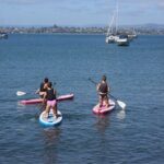 Stand Up Paddle Board Adventure in Mount Maunganui - Why This Tour Offers Good Value