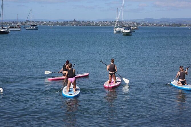 Stand Up Paddle Board Adventure in Mount Maunganui - Why This Tour Offers Good Value