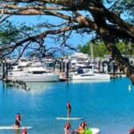 Stand Up Paddle Rental 1hr - Is This Tour Right for You?