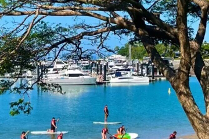 Stand Up Paddle Rental 1hr - Is This Tour Right for You?