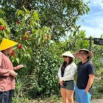 Starfish Beach and North Phu Quoc Island Private Full Day Tour - Practical Tips for Potential Guests