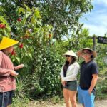 Starfish Beach and Northern Phu Quoc Private Discovery - Practical Insights and Tips