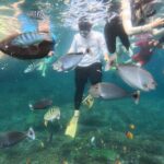 Start at Nusa Penida, Snorkeling Manta Rays + Land Tour shared - Detailed Breakdown of the Itinerary