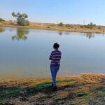 Stay Under The Billions Stars Overnight Camel Safari Tour - The Sum Up