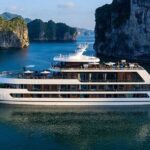 Stellar of The Seas Best Top Vip Cruise Ha Long Bay 2 Day 1 Night - The Itinerary: Breaking Down the Highlights