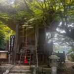 Step into Old Japan  Izushi Samurai Town Tour - Who Will Love This Tour?