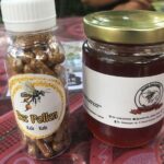 Stingless Bee Honey Farm and Beekeeping Tour - Why This Tour Is Worth Considering