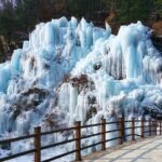 Strawberry Picking, Snow Sledding in Eobi Valley and Sheep Ranch - The Snow Sledding Experience