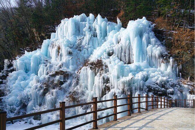 Strawberry Picking, Snow Sledding in Eobi Valley and Sheep Ranch - The Snow Sledding Experience