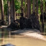 Stung Treng: 3 Nights Mekong River Boat Cruises and Kayaking - Who Is This Tour Best For?