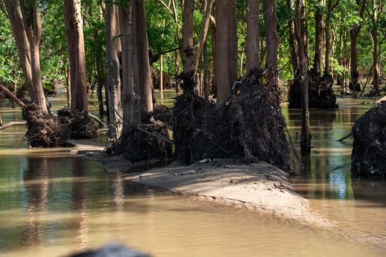 Stung Treng: 3 Nights Mekong River Boat Cruises and Kayaking - Who Is This Tour Best For?