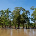 Stung Treng: Mekong River Boat Cruise to the Flooded Forests - The Itinerary in Detail