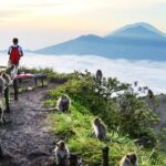 Stunning and Magnificent Kintamani Highland Tour with Barong Dance - Practical Details: What It Means for You