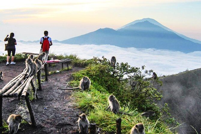 Stunning and Magnificent Kintamani Highland Tour with Barong Dance - Practical Details: What It Means for You