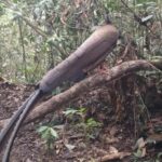 Sumatra : 5-Day Conservation & Artistry Expedition - Exploring the 5-Day Sumatra Conservation & Artistry Expedition