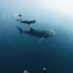 Sumbawa Package: Explore with Private or Shared Group - How This Tour Stands Out