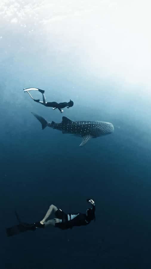 Sumbawa Package: Explore with Private or Shared Group - How This Tour Stands Out