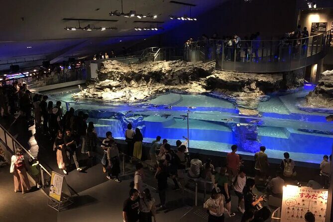 Sumida Aquarium Ticket Tokyo - Final Thoughts on Value and Experience