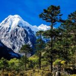 Summit of Silence 9 Day Meili North Face Pass Trek - Approaching the Glaciers and Forests