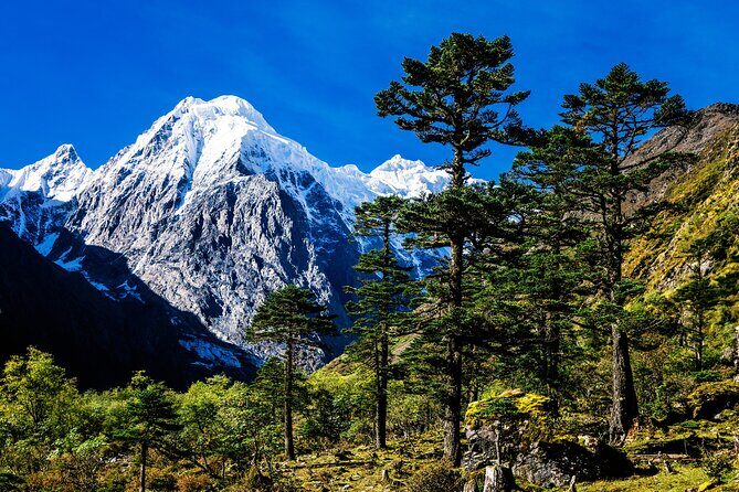 Summit of Silence 9 Day Meili North Face Pass Trek - Approaching the Glaciers and Forests