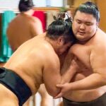 Sumo Practice Watch with a Specialist Reporter - What’s Included and Whats Not?