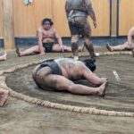 Sumo show and Chanko lunch - The Sum Up