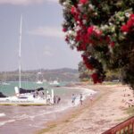 Sundowner Evening Cruise - 2 hour evening sailing cruise with swim stop - Why This Tour Offers Great Value