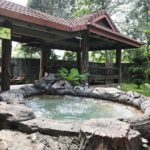 Sungkai Hot Springs & Nature Park Tour from Kuala Lumpur - The Itinerary Breakdown