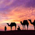 Sunrise/Sunset Desert Camel Ride AmazingJaisalmer - Who Is This Tour Best For?