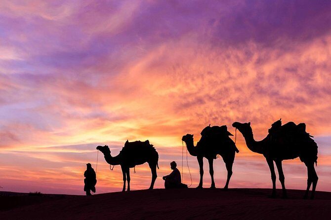Sunrise/Sunset Desert Camel Ride AmazingJaisalmer - Who Is This Tour Best For?