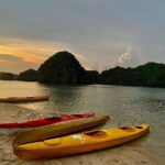 Sunset- Magical bioluminescent plankton Kayaking trip from Catba - Why This Tour Is a Great Pick