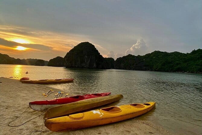 Sunset- Magical bioluminescent plankton Kayaking trip from Catba - Why This Tour Is a Great Pick