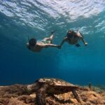 Sunset Snorkeling with Picture & Video in Gili Meno Turtle - Final Thoughts