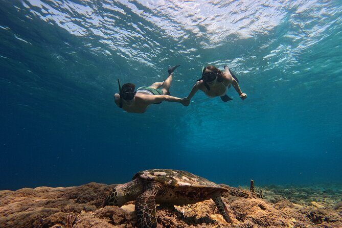 Sunset Snorkeling with Picture & Video in Gili Meno Turtle - Final Thoughts