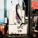 Sunset Sydney Fish Market Tour - Analyzing the Value