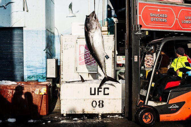 Sunset Sydney Fish Market Tour - Analyzing the Value