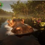 Sunshine Coast: Hologram Zoo Africa Adventure - Who Will Love This Tour?