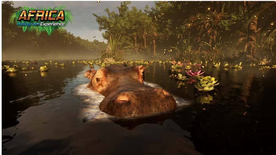 Sunshine Coast: Hologram Zoo Africa Adventure - Who Will Love This Tour?