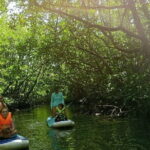 SUP Tour in Mangrove Forest of Koh Rong Sanloem - Why This SUP Tour Offers Great Value