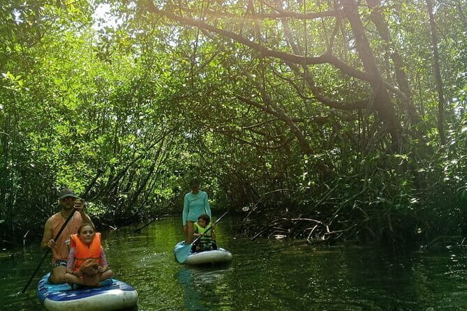 SUP Tour in Mangrove Forest of Koh Rong Sanloem - Why This SUP Tour Offers Great Value