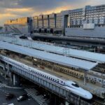 Super Express Nara & Kyoto Private 1-Day Tour from Tokyo - Value and Practicality: Is It Worth It?